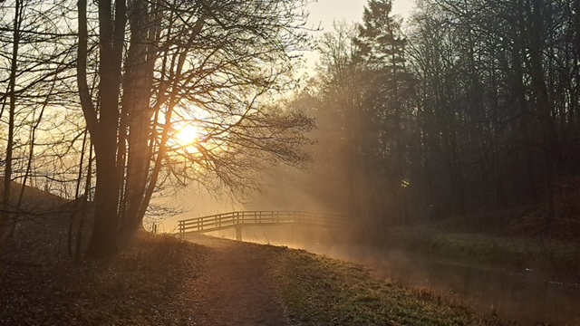 Zen.nl, Zen, meditatie, leren mediteren, foto